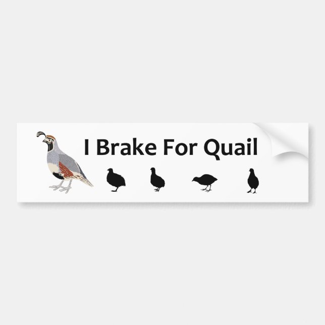 Broms for Quail Bumper Sticker Bildekal (Framsidan)