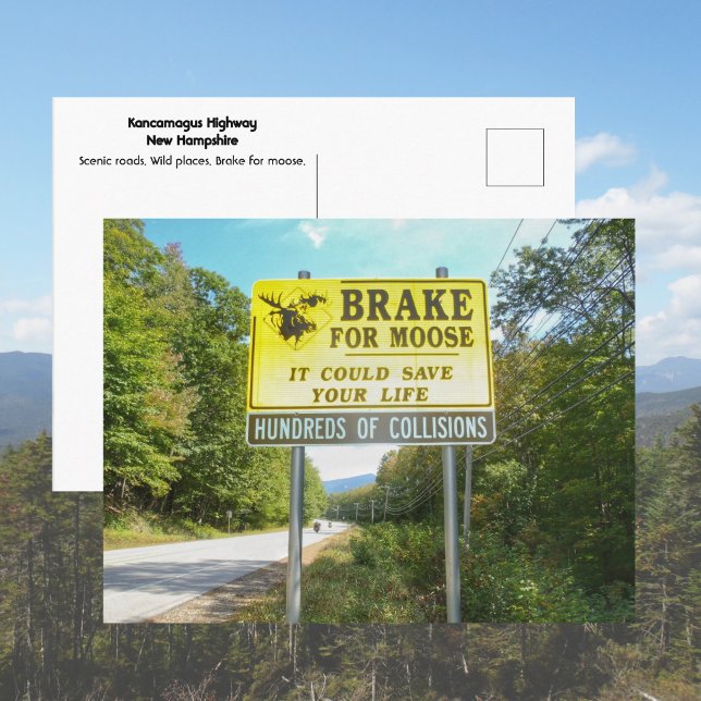 Bromsa för Älg Kancamagus Highway New Hampshire Vykort (Skapare uppladdad)