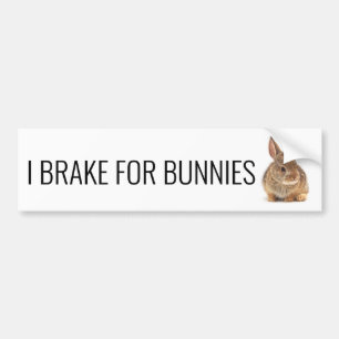 Bromsar för Bunnies Bildekal