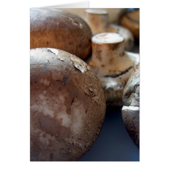 Bromsvampar Hälsningskort (Framsidan)