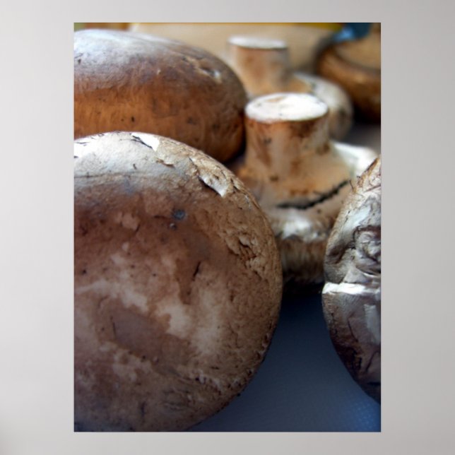 Bromsvampar Poster (Framsidan)