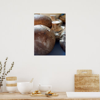 Bromsvampar Poster