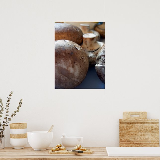 Bromsvampar Poster (Kök)