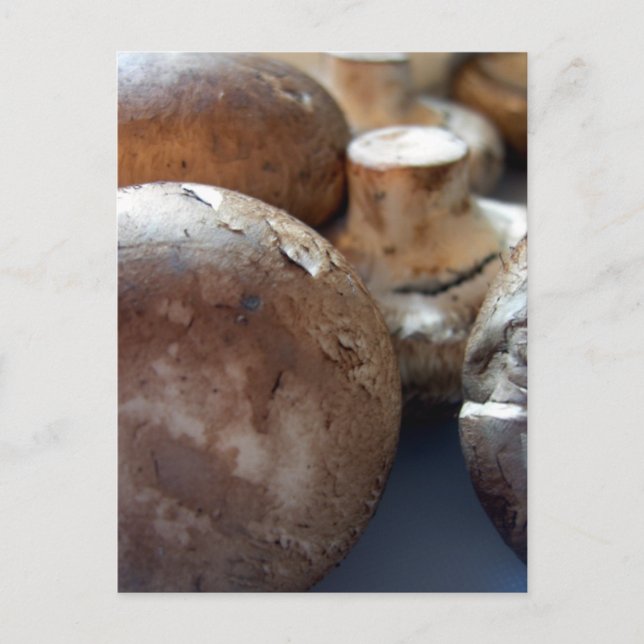 Bromsvampar Vykort (Framsida)