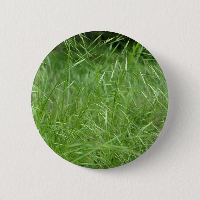 Bromus tectorum Badge Knapp (Framsida)