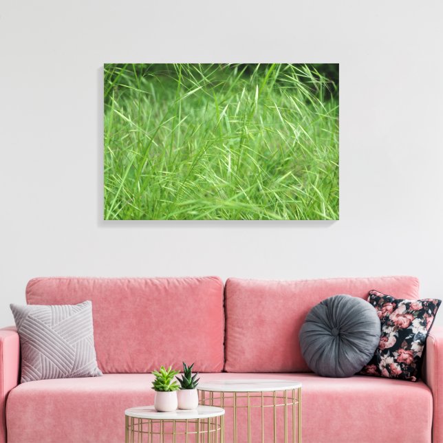 Bromus tectorum canvastryck (Insitu (Vardagsrum))