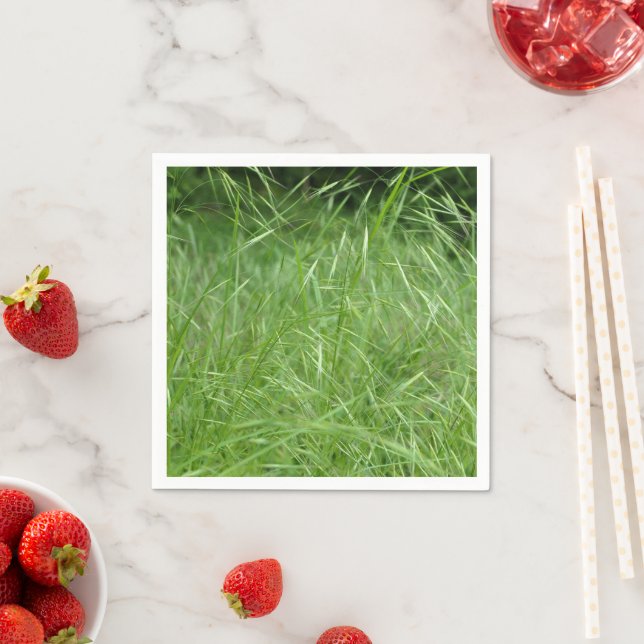 Bromus tectorum Papper Napkins Pappersservett (Insitu)
