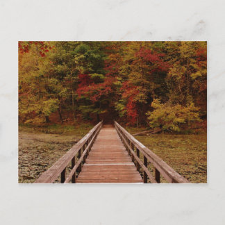 Bron i Bays Mounatin Vykort