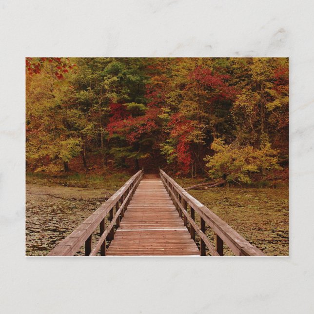 Bron i Bays Mounatin Vykort (Framsida)