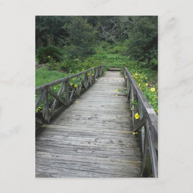 Bron i Bellingrath Gardens Vykort (Framsida)