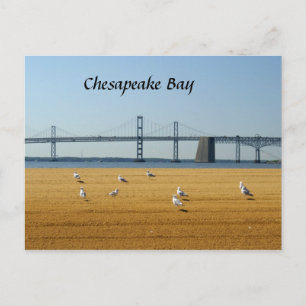 Bron i Chesapeake Bay Vykort