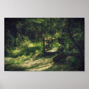 Bron i skogen poster