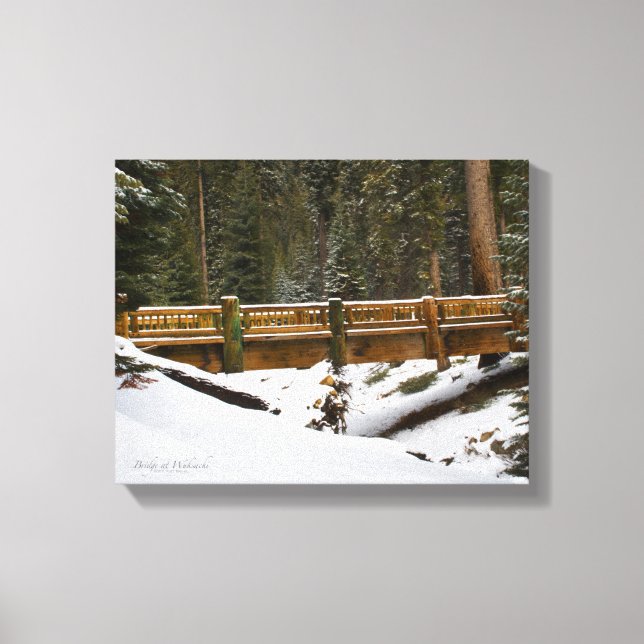 Bron i Wuksachi Canvastryck (Framsida)