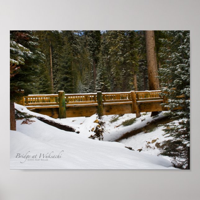 Bron i Wuksachi Poster (Framsidan)