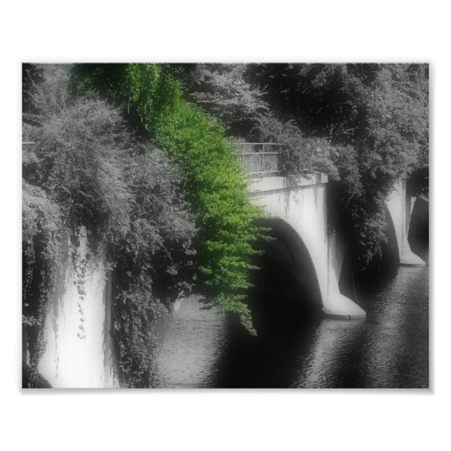Bron över blommor, delvist Färg 8 x 10 Fototryck (Framsidan)