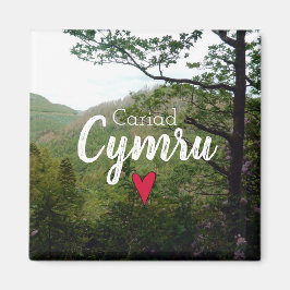 Bron över Cariad Cymru Wales Backe Ligcape Djävule Magnet