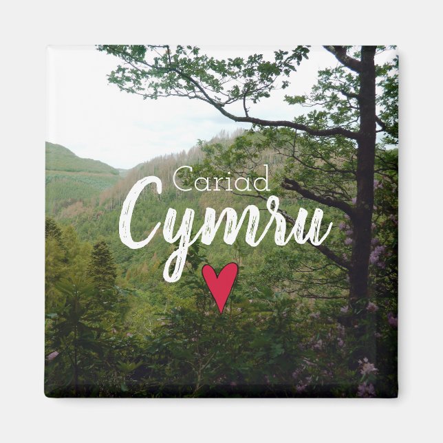 Bron över Cariad Cymru Wales Backe Ligcape Djävule Magnet (Framsidan)