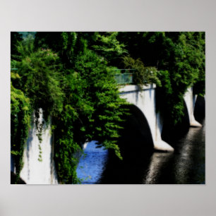 Bron över Flowers Shelburne Falls Massachusetts Poster