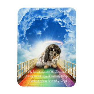 Bron över många Färg Magnet