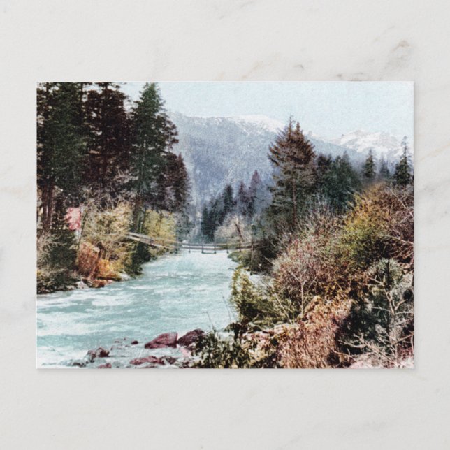 Bron över Sacramento River c.1900 Vykort (Framsida)