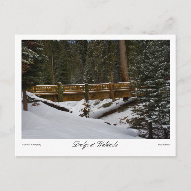 Bron på vykort från Wuksachi (Framsida)