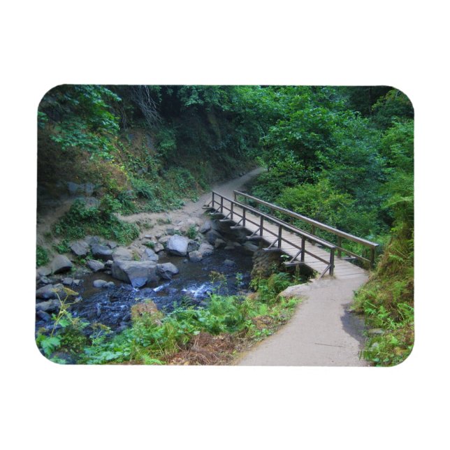 Bron vid Latourell Falls, Oregon Magnet (Horisontell)