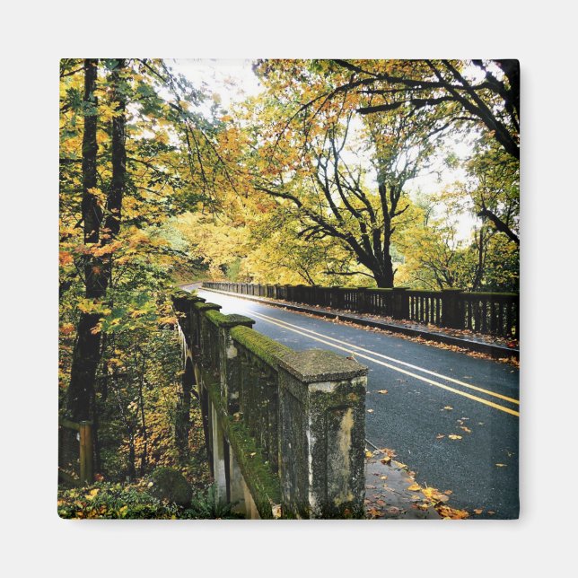 Bron vid Latourell Falls, Oregon Magnet (Framsidan)