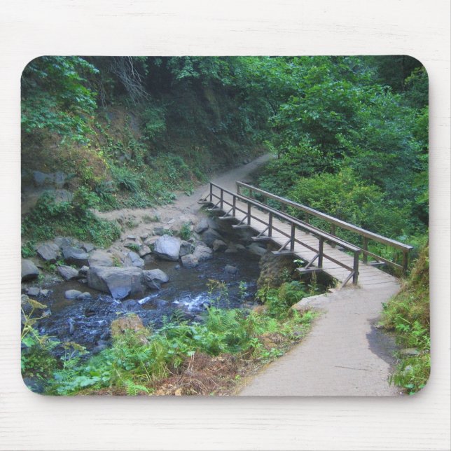 Bron vid Latourell Falls, Oregon Musmatta (Framsidan)