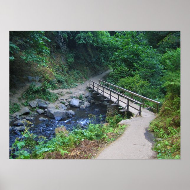 Bron vid Latourell Falls, Oregon Poster (Framsidan)