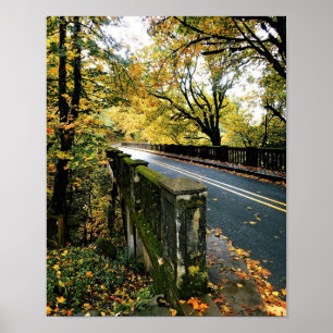 Bron vid Latourell Falls, Oregon Poster