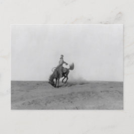 Bronco Busting Postcard Vykort