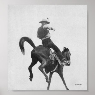 Bronco för CowboyNed blyg ridning Poster