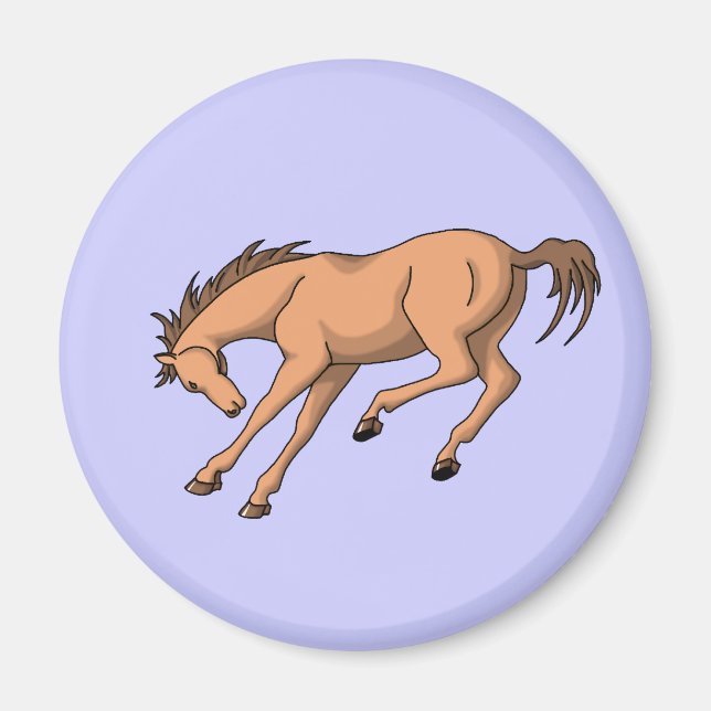 Bronco Magnet (Framsidan)