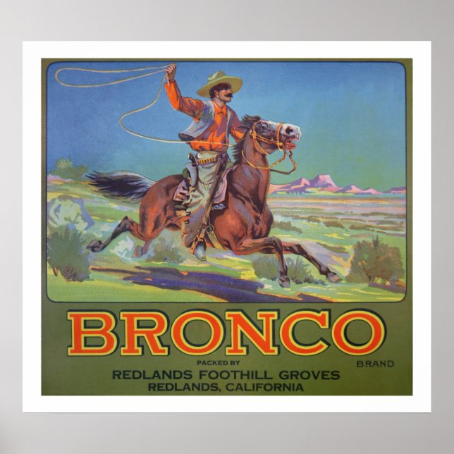 "Bronco Orangars, c.1900 (färg litho) Poster (Framsidan)