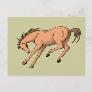 Bronco Vykort