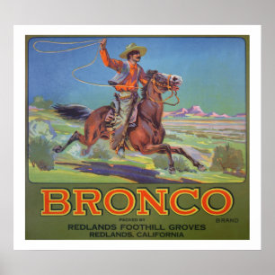 "Broncoorangar, c.1900 (färglithoen) Poster