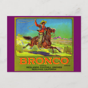 Broncos frukt-låda-etikett 1920-talet vykort