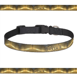 Brons för ljusreflektion för gyllene ljussken halsband husdjur