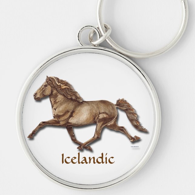 Brons isländskan rund silverfärgad nyckelring (Framsidan)