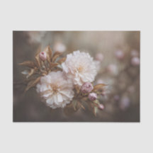 Bronsblad Rosa Dubbel Sakura Blomning