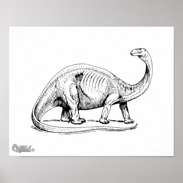 Brontosaurus Poster (Framsidan)