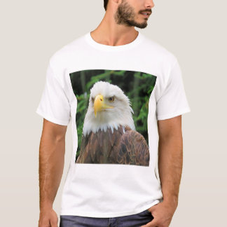 Bronx Zoo Eagle T Shirt