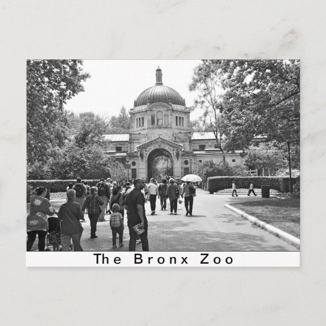 Bronx Zoo Entrance Vykort (Framsida)