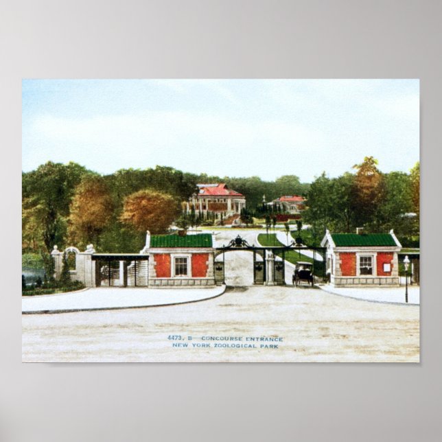 Bronx Zoo, New York City Vintage Poster (Framsidan)