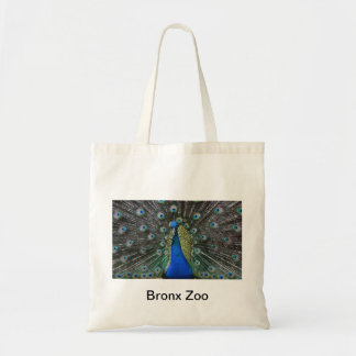 Bronx Zoo Tygkasse
