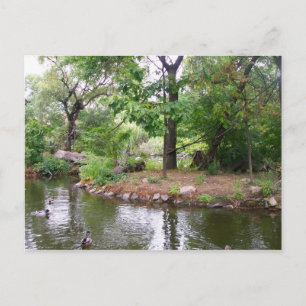 Bronx Zoo-vykort Vykort
