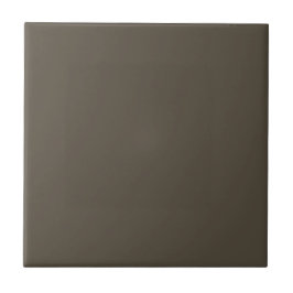 Bronze Brown Square Kitchen and Bath Kakelplatta