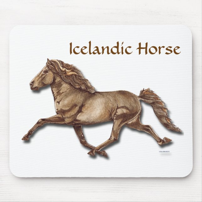 Bronze Islands Horse Musmatta (Framsidan)
