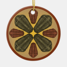 Bronze och Copper Calymene Niagarensis trilobites