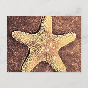 Bronze Starfish-vykort Vykort